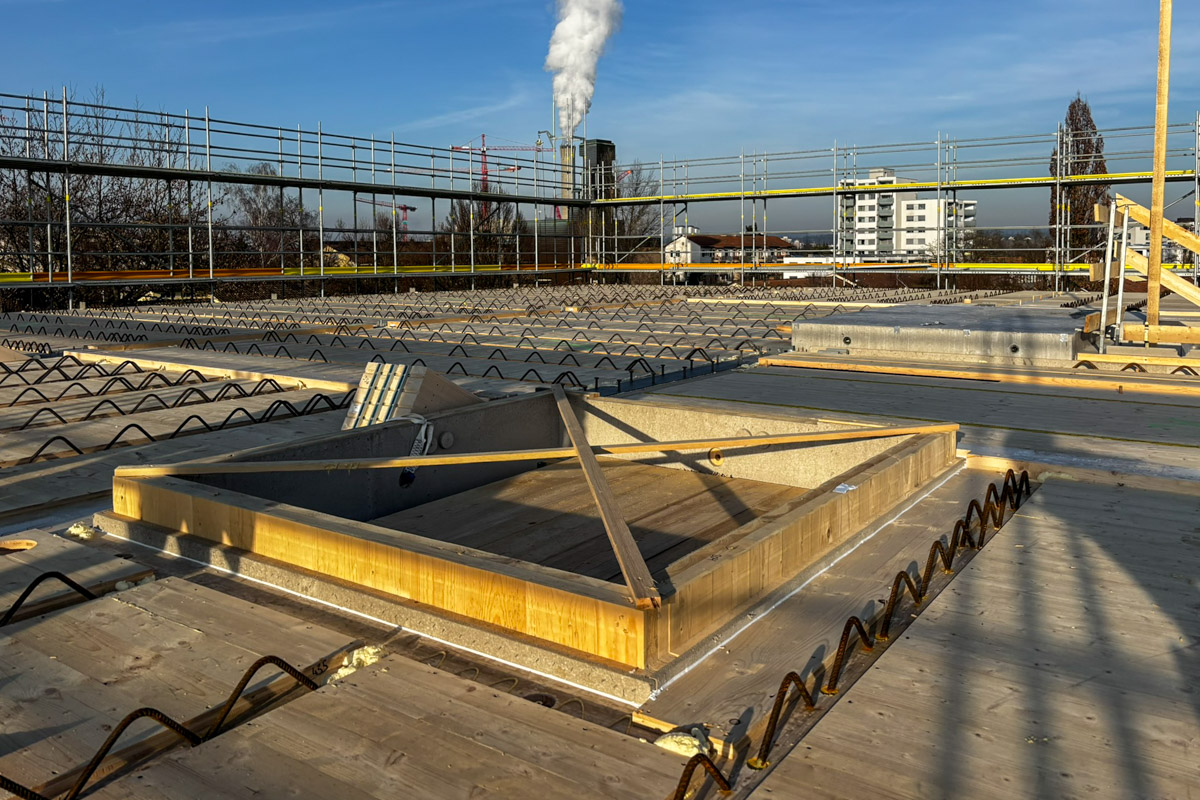 saatlen_sac (13 von 14)